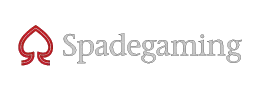 Partner SG logo